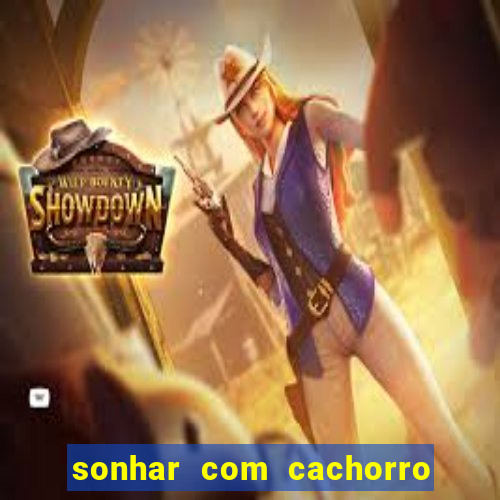 sonhar com cachorro cruzando jogo do bicho